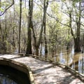 Exploring Environmental Conservation in Monroe, LA: A Guide for Residents