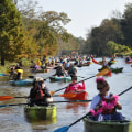 Environmental Conservation in Monroe, LA: Protecting the Bayou State